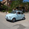 Montevago 2010 (227)